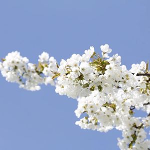 NHUT Không Dấu's avatar