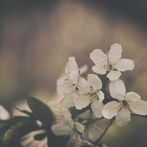 Yuki Hoàng's avatar